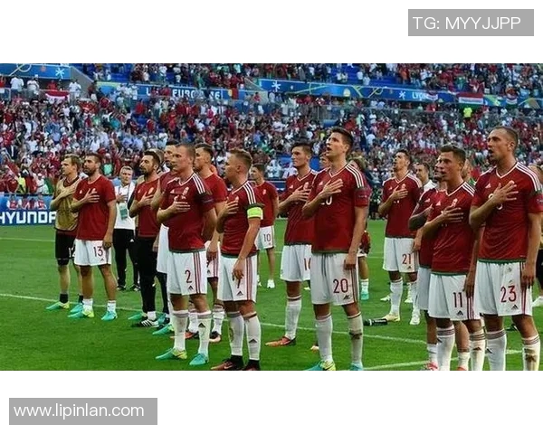 对话陈芳：回顾足球生涯的辉煌与挑战与未来展望