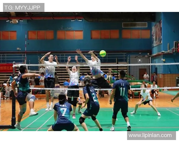 广州排球队总决赛精彩回顾：耐力与团队合作的完美结合