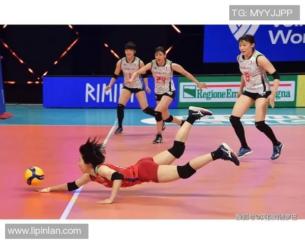 杭州排球队快攻战术解析与成败经验分享